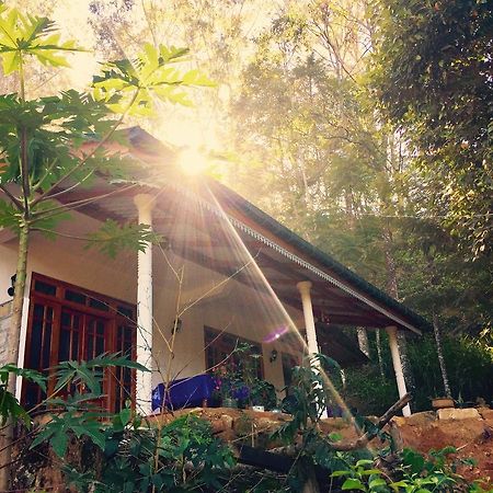Secret Nest Homestay Ella Luaran gambar