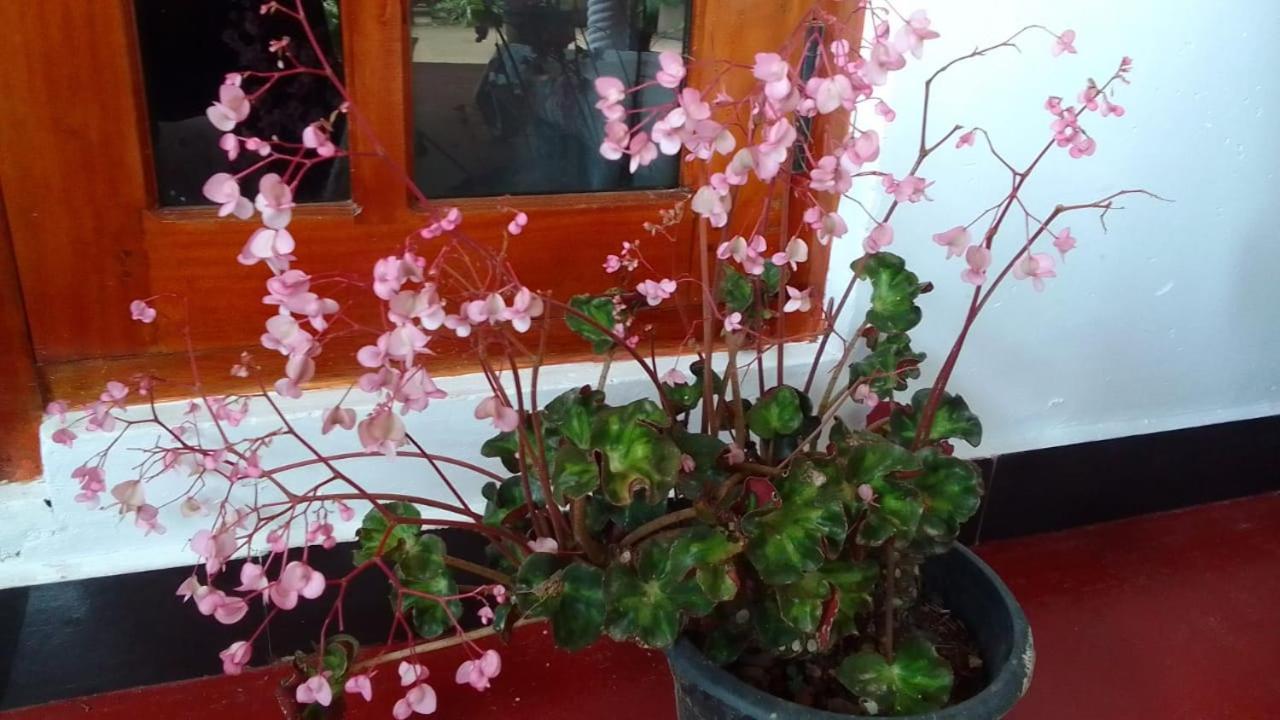 Secret Nest Homestay Ella Luaran gambar