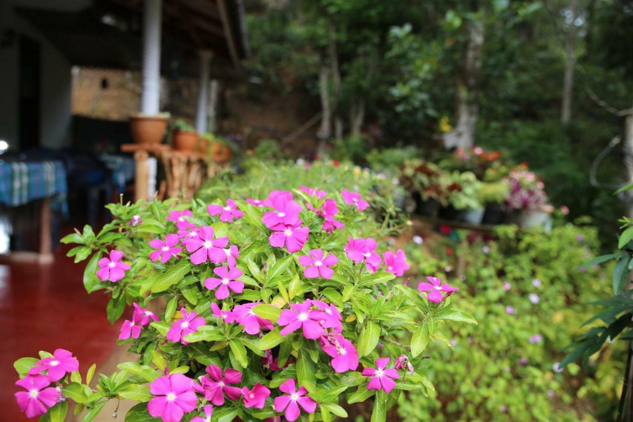 Secret Nest Homestay Ella Luaran gambar